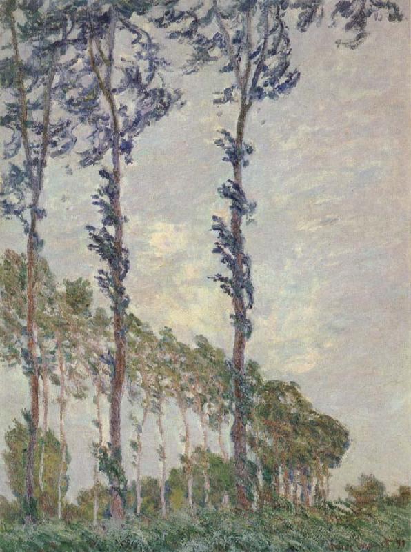 Claude Monet WInd Effect,Sequence of Poplars oil painting picture